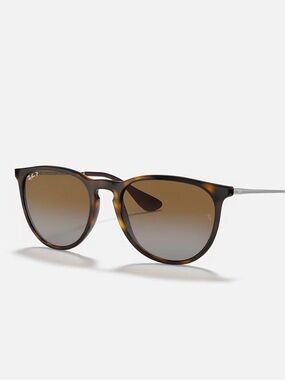 Polarized Ray-Ban Erika Sunglasses